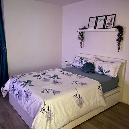 2 Zimmer Wohnung Im Herzen Von Braunschweig Buitenkant foto